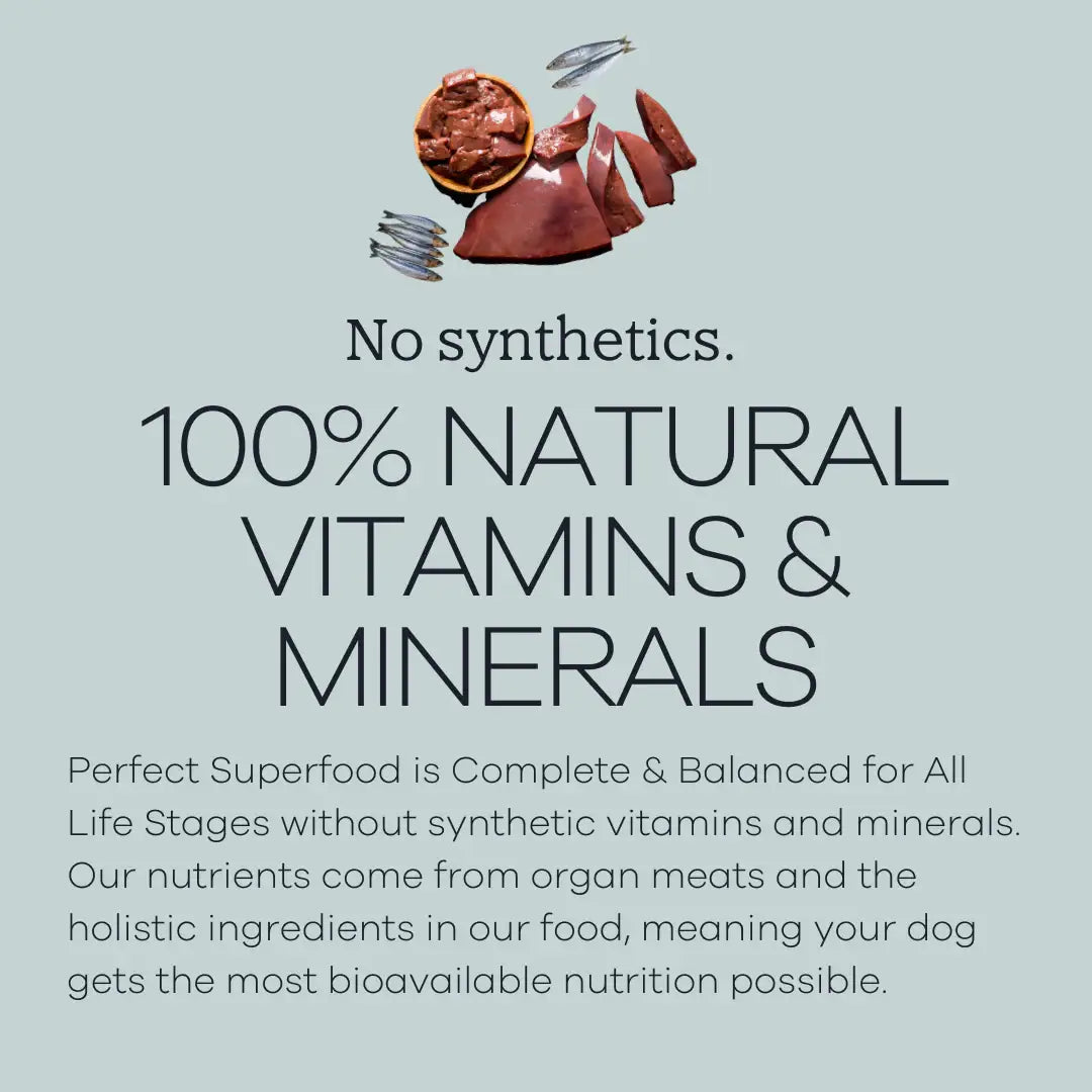 Perfect Superfood Air-Dried Dog Food
