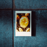 The Conscious Bar — Monkey Business (Limited Edition)