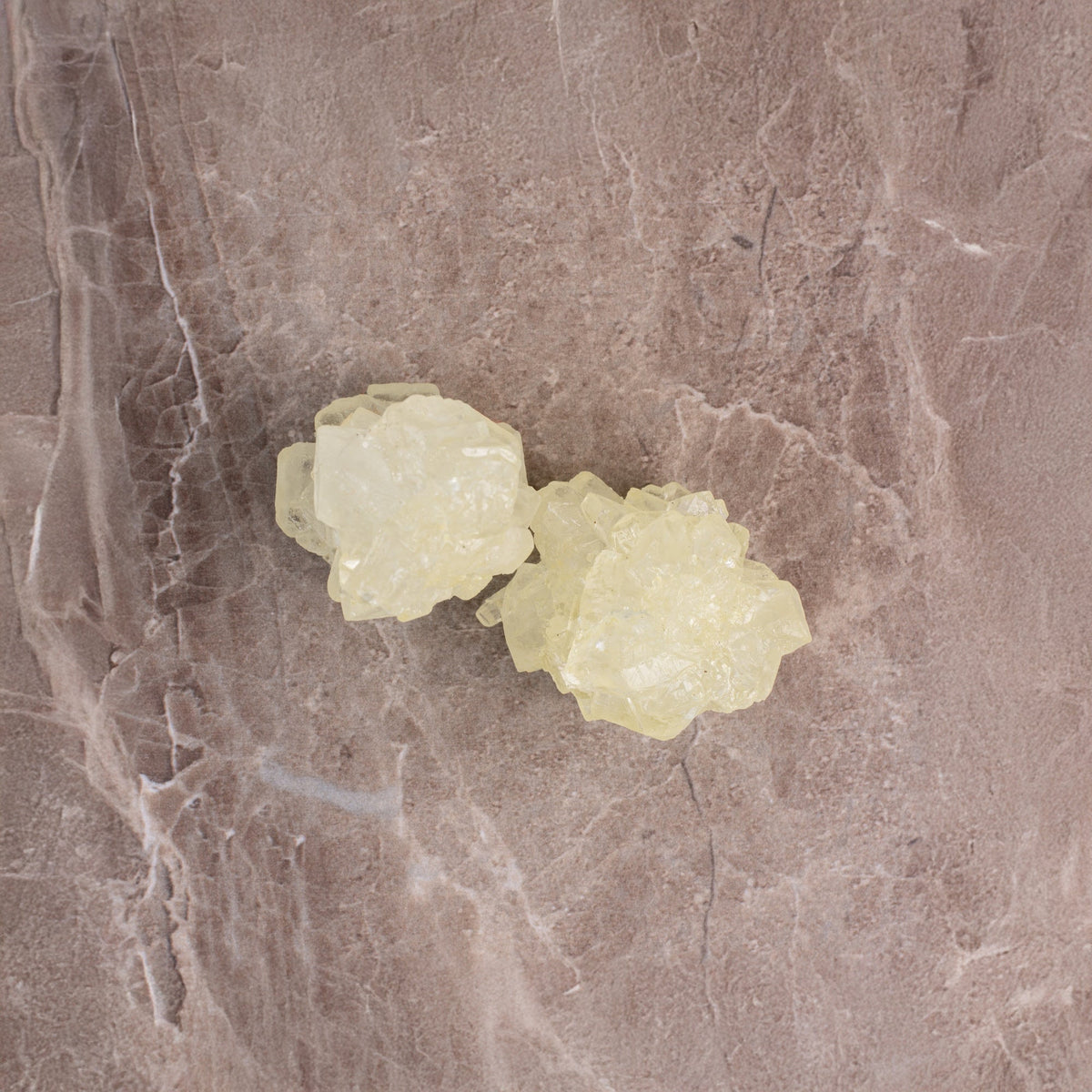 Zuma Nutrition Mastic Gum Complex - Chios mastic resin