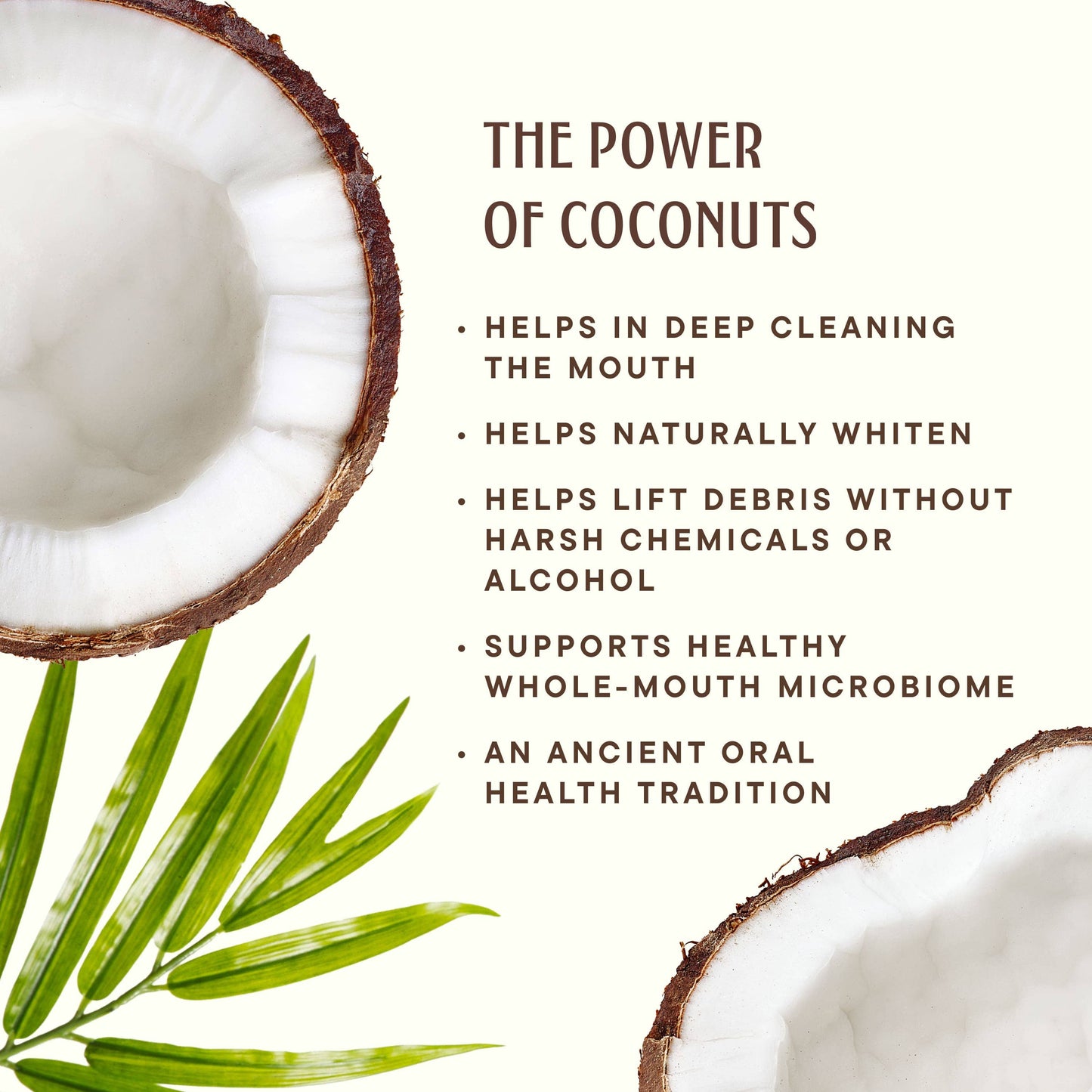 Coconut Powered Toothpaste | Fluoride-Free | Sensitive Teeth