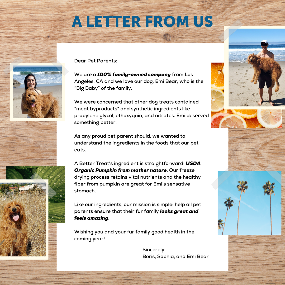A Better Treat — Organic Freeze Dried Pumpkin Dog and Cat Treats
