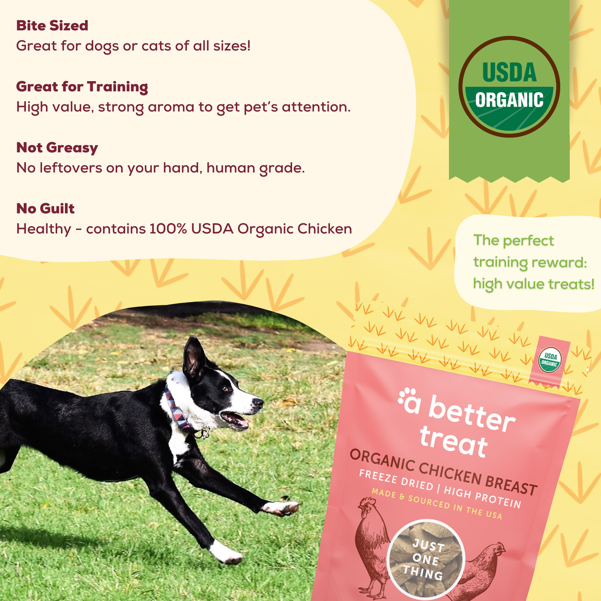 A Better Treat — Organic Freeze Dried Chicken Breast Dog and Cat Treats