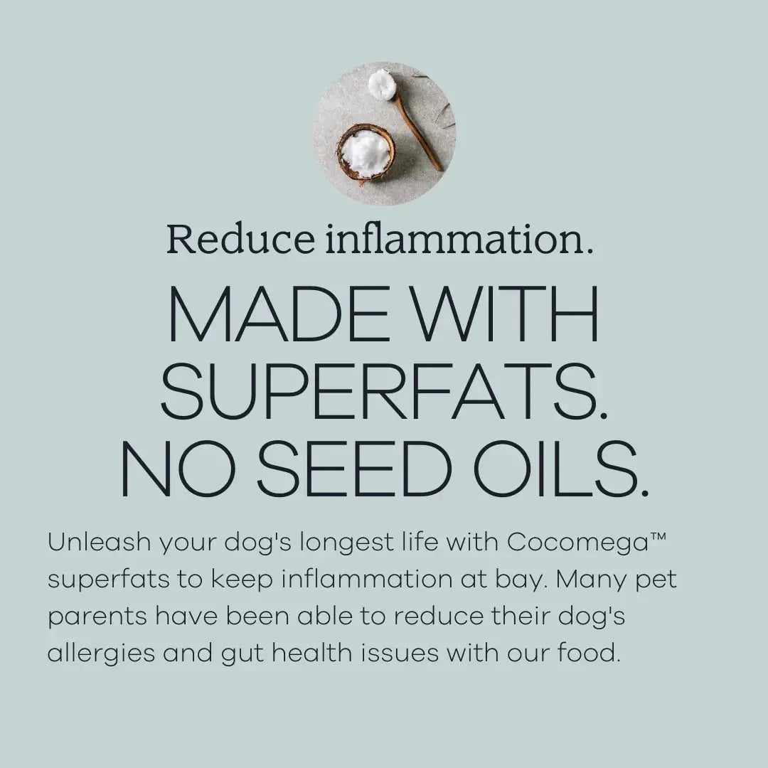 Perfect Superfood Air-Dried Dog Food
