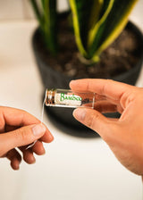 Bamboo Switch — Vegan Bamboo Floss