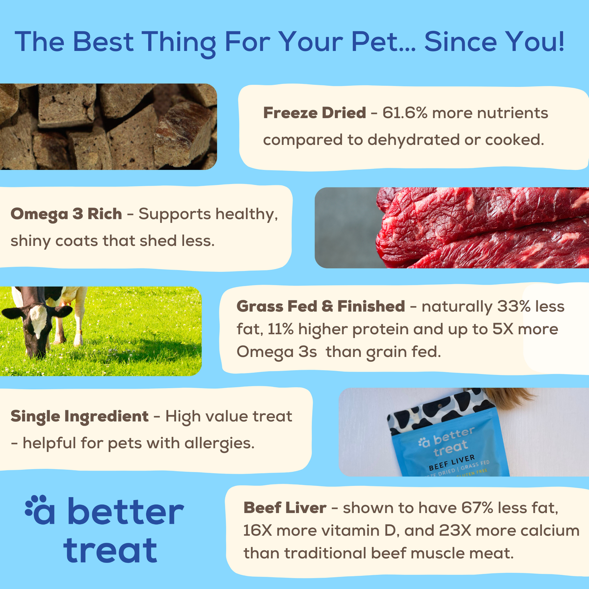 A Better Treat — Organic Freeze Dried 100% Grass Fed Beef Dog and Cat Treats