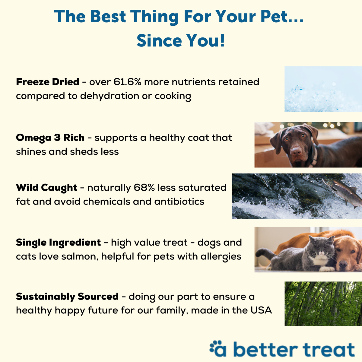 A Better Treat — Freeze Dried Wild Caught Salmon Dog and Cat Treats