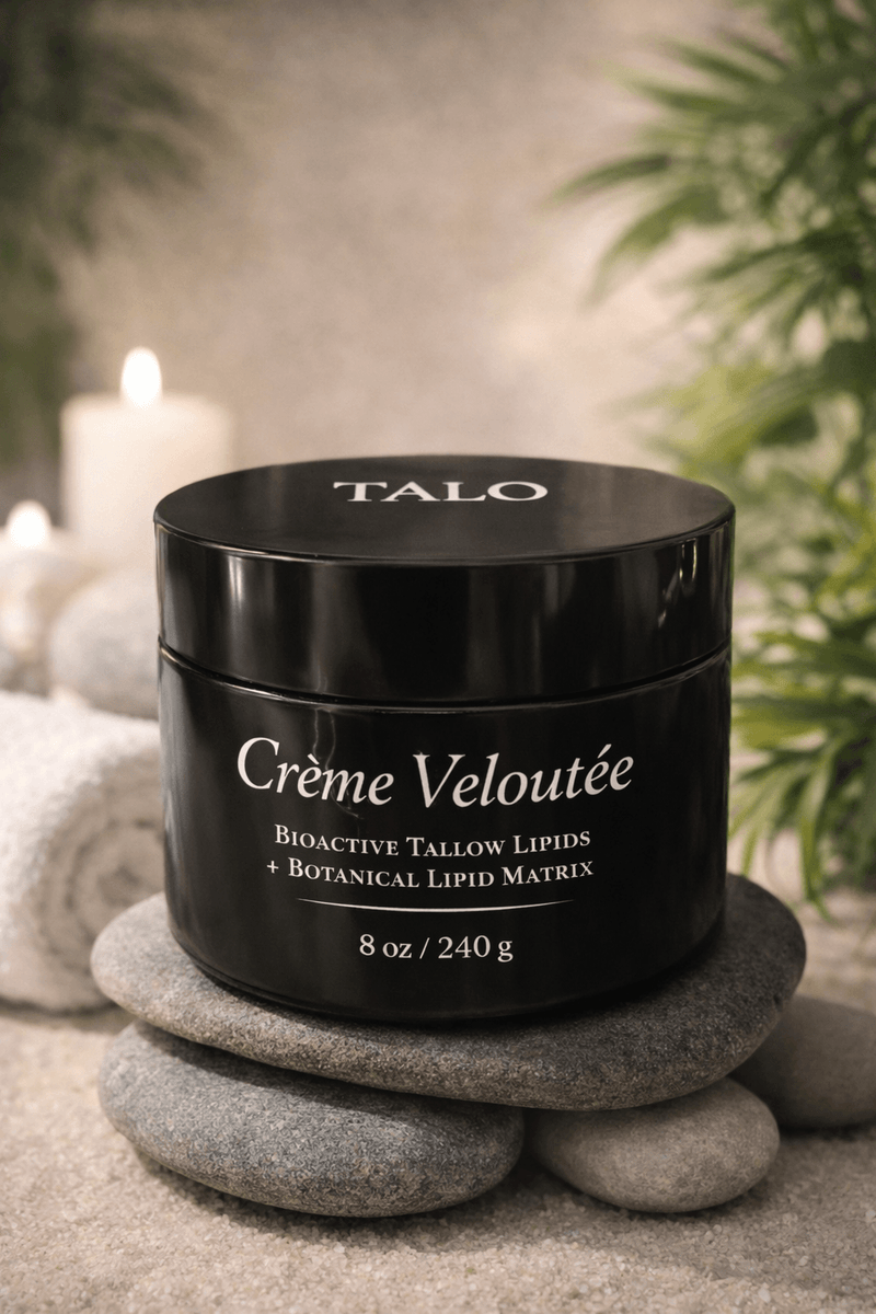 Crème Veloutée