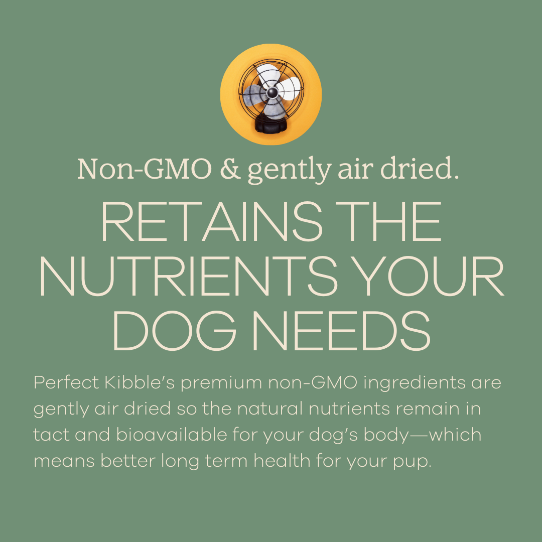 Perfect Kibble Air-Dried Dog Food