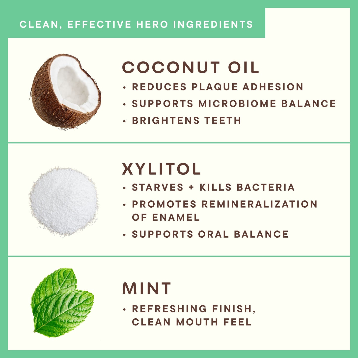 Coconut Powered Toothpaste | Fluoride-Free | Sensitive Teeth