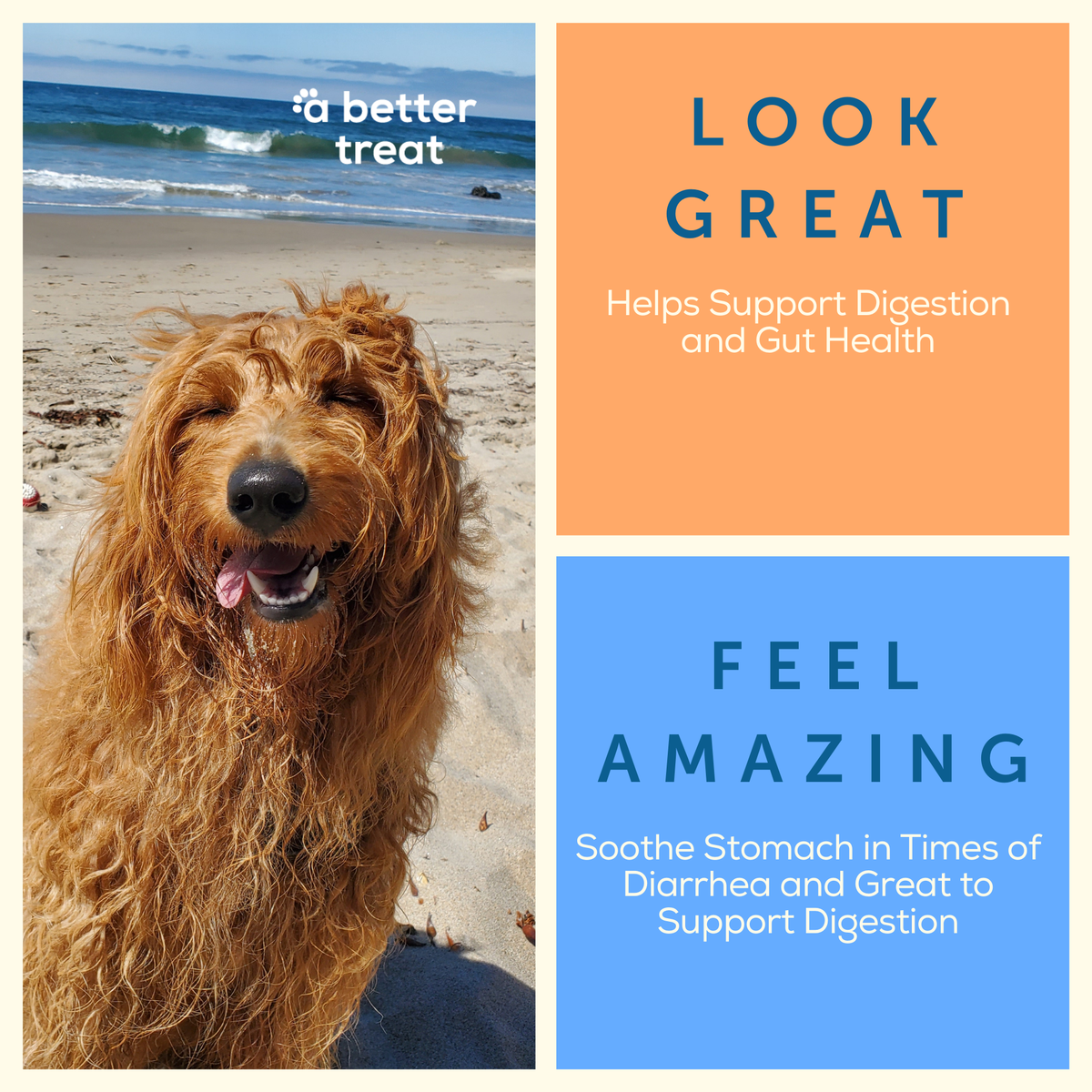A Better Treat — Organic Freeze Dried Pumpkin Dog and Cat Treats