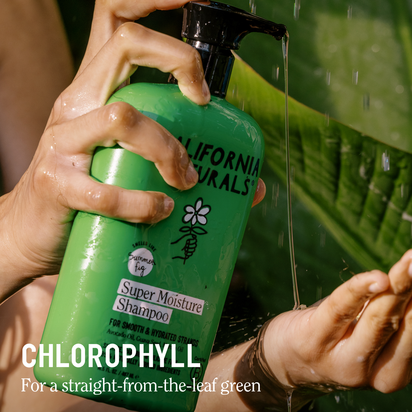 Super Moisture Shampoo