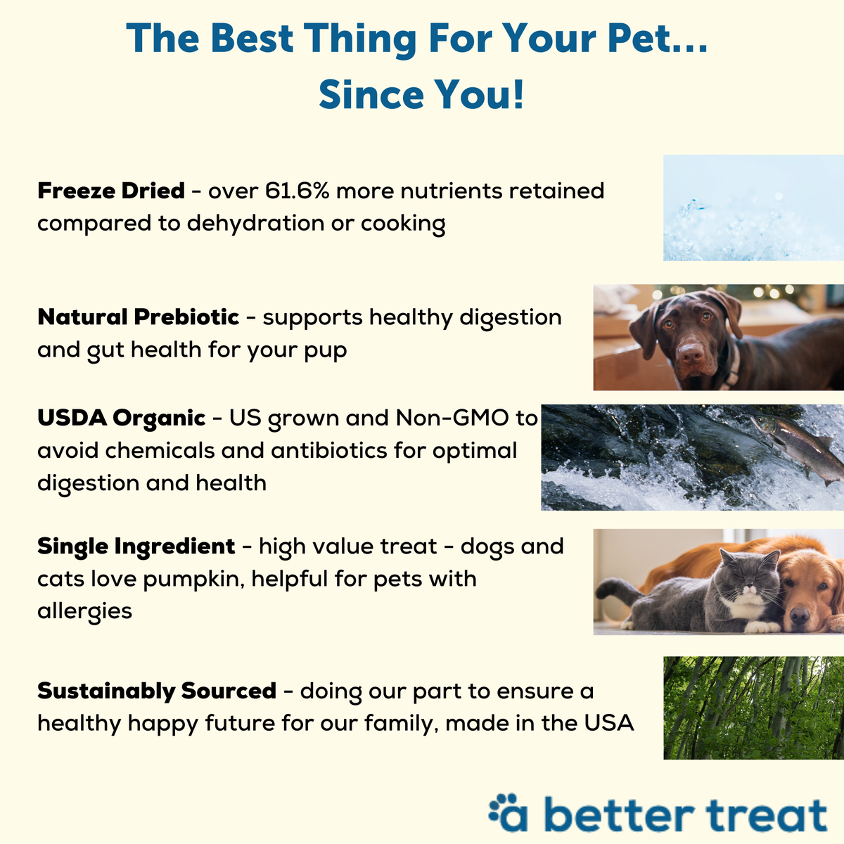 A Better Treat — Organic Freeze Dried Pumpkin Dog and Cat Treats
