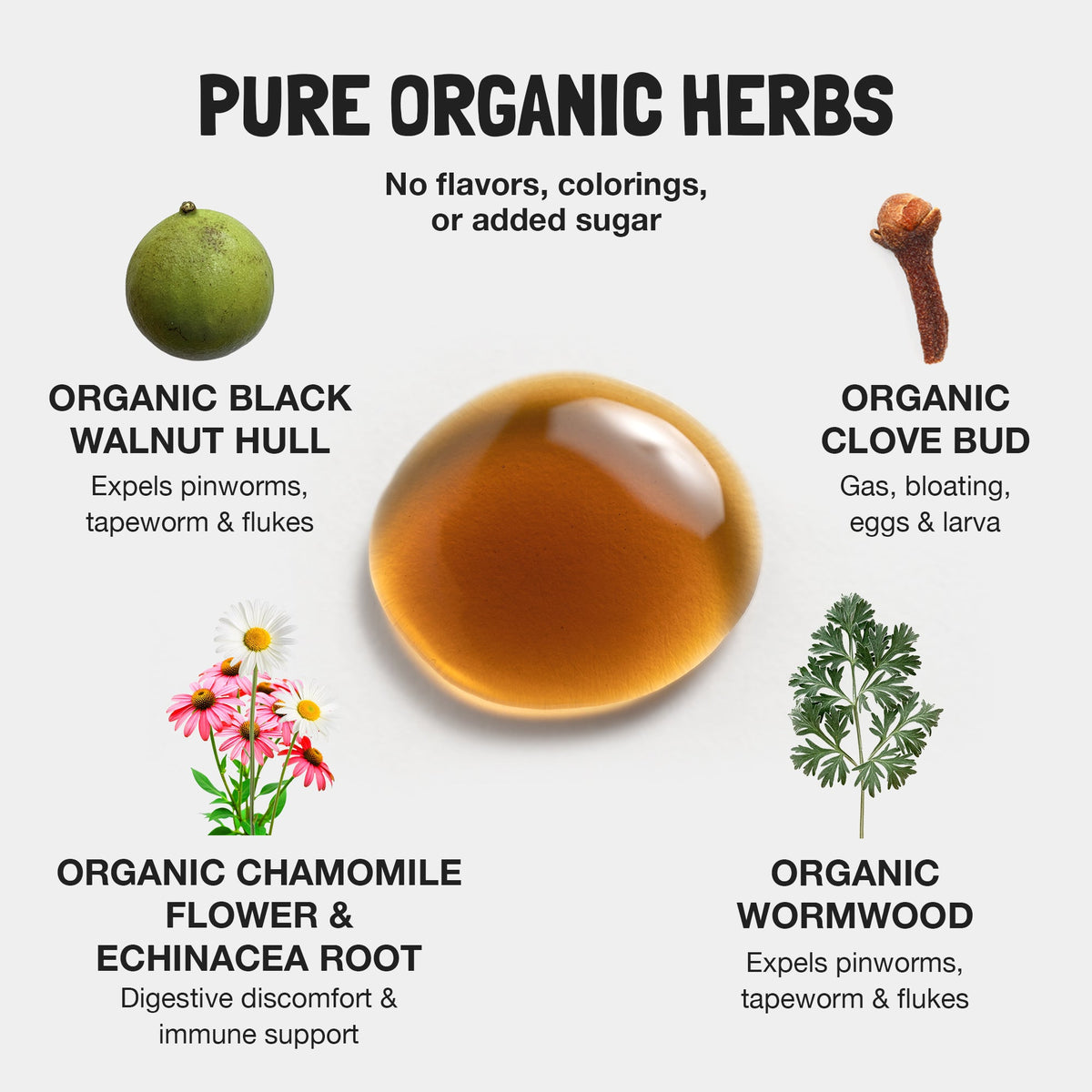 Children's Parasite Formula organic herbs