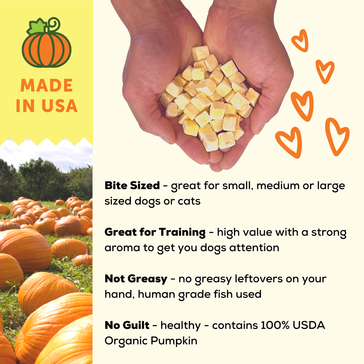A Better Treat — Organic Freeze Dried Pumpkin Dog and Cat Treats