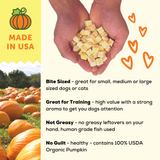 A Better Treat — Organic Freeze Dried Pumpkin Dog and Cat Treats