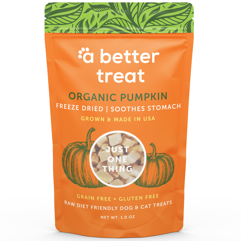 A Better Treat — Organic Freeze Dried Pumpkin Dog and Cat Treats