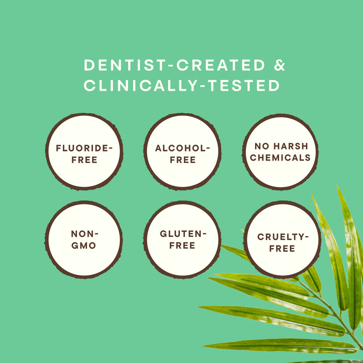 Dr. Ginger's — Coconut Powered Toothpaste | Fluoride-Free | Sensitive Teeth