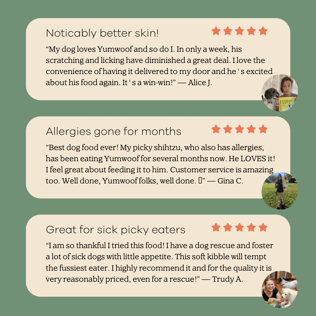 Perfect Kibble Air-Dried Dog Food