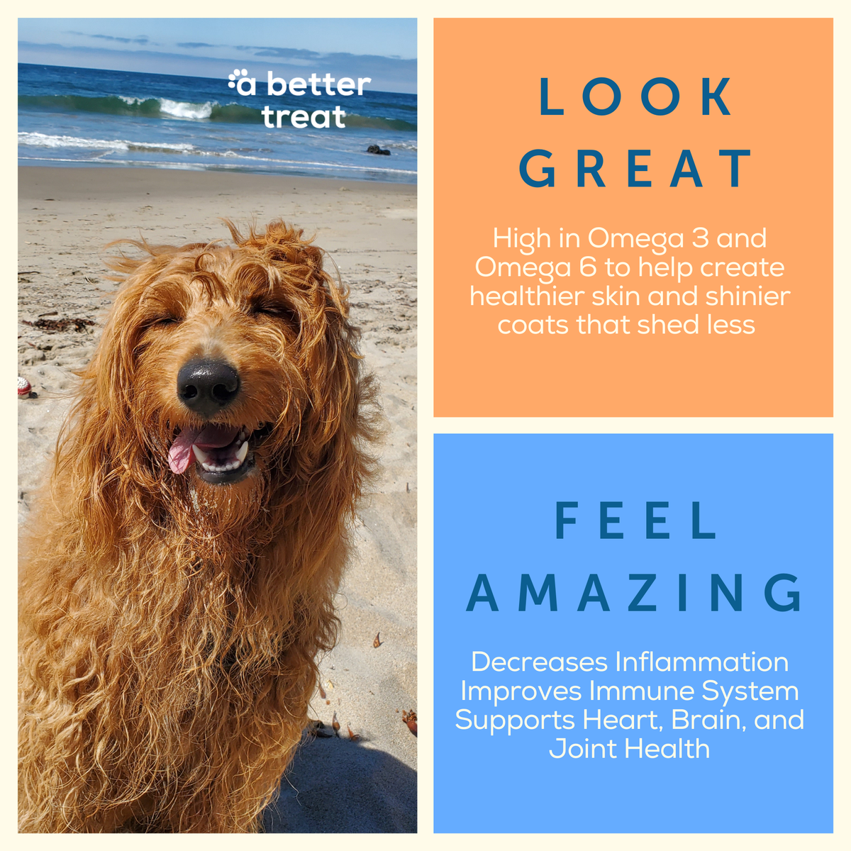A Better Treat — Freeze Dried Wild Caught Salmon Dog and Cat Treats