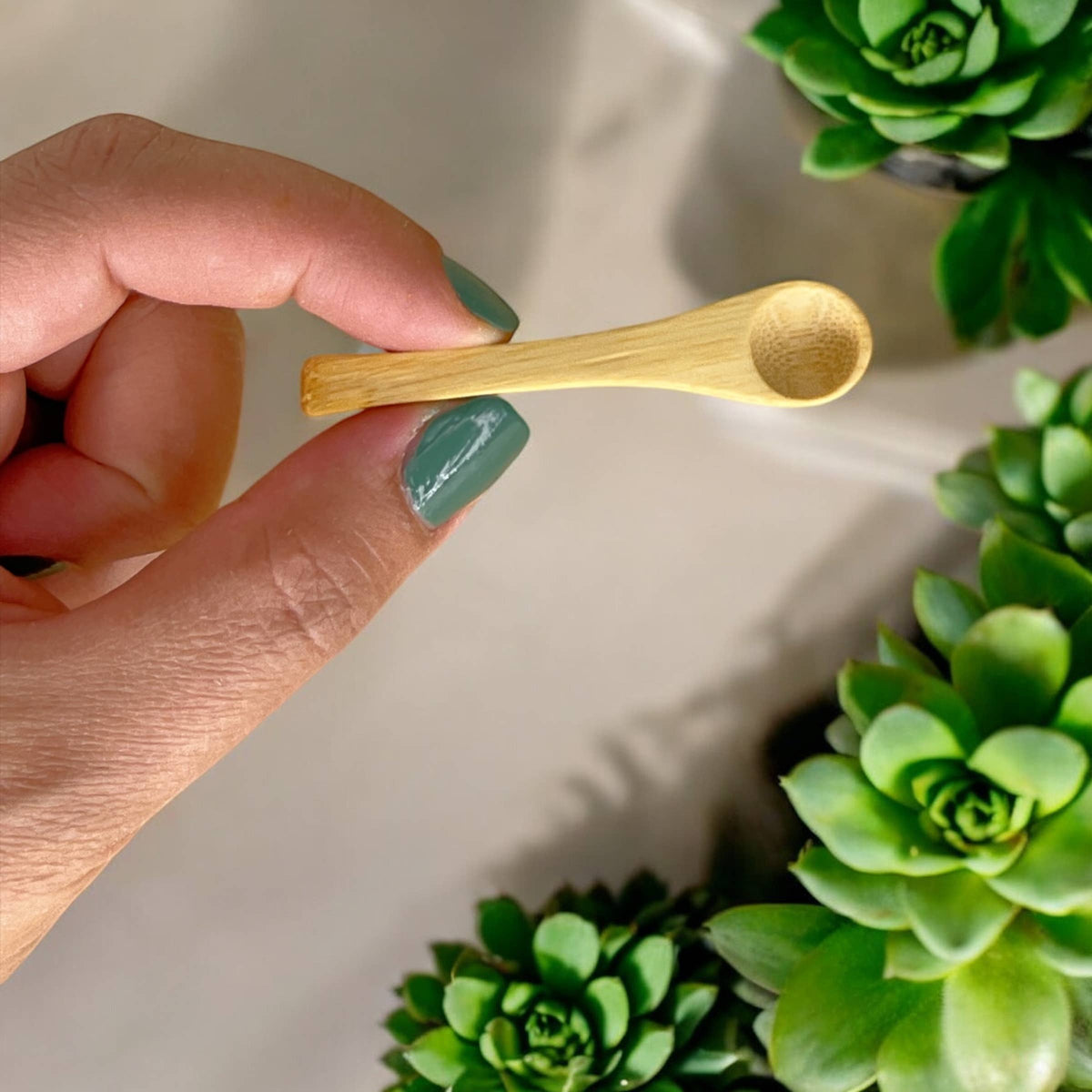 Bamboo Switch — Mini Bamboo Spice Spoon