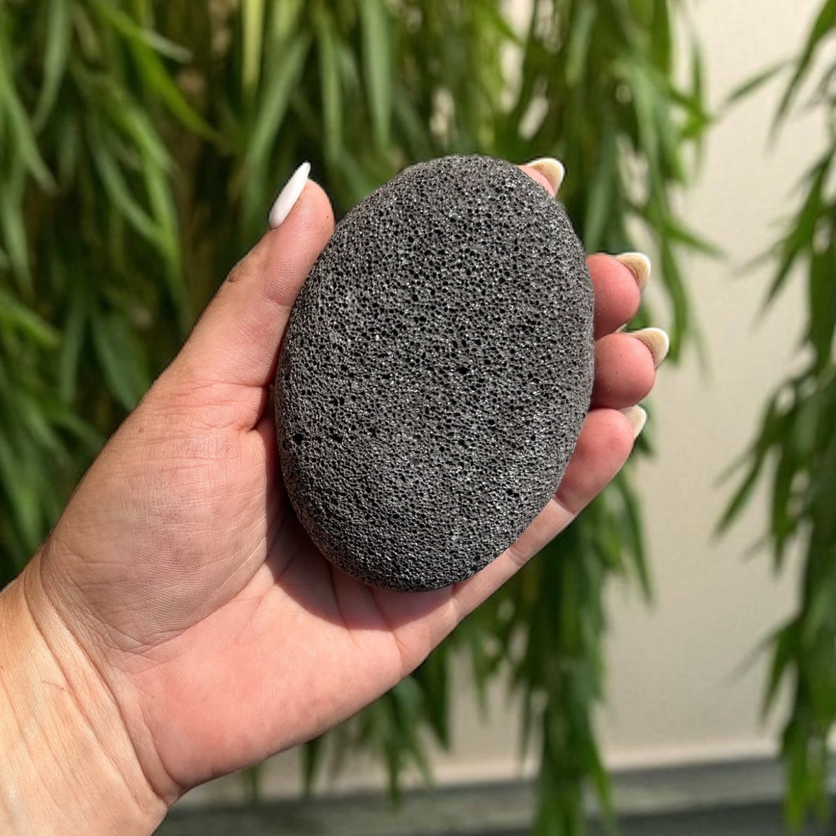 Bamboo Switch — Large Natural Pumice Foot Stone