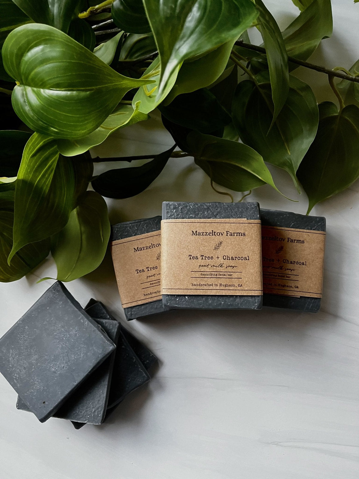 Mazzeltov Farms — Tea Tree + Charcoal Goat Milk Bar Soap