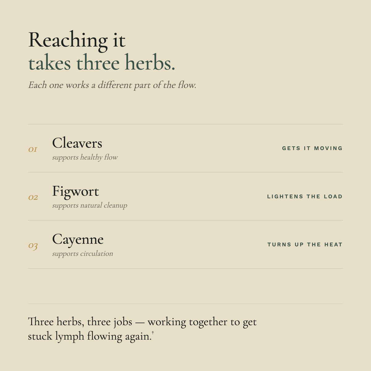 Zuma Nutrition Lymph Clear Tonic three herbs